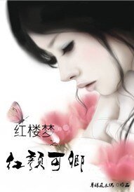 （紅樓同人）紅樓夢之紅顏管家