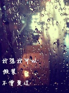 我想我可以假装不曾碍过