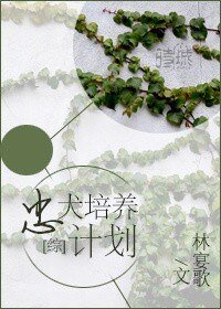 （综同人）[综]忠犬培养计划