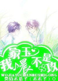 《我家玉晨不是攻》