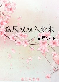 鸞鳳雙雙入夢來