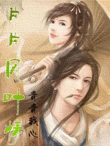 片片风叶情