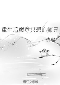 《重生後魔尊只想追師兄》