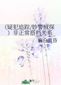 (疑犯追踪/妙警贼探)非正常搭档关系