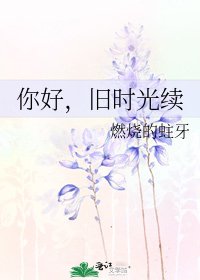 你好,旧时光续