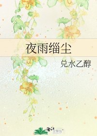 夜雨缁尘