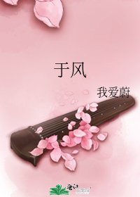 于风
