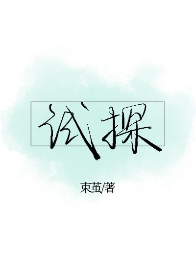 试探