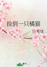 捡到一只橘猫