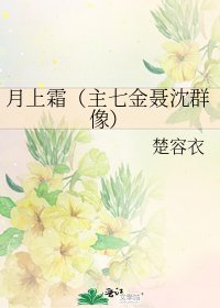 月上霜(主七金聂沈群像)
