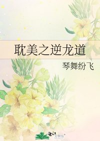 耽美之逆龙道