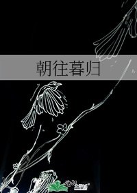 《朝往暮归》