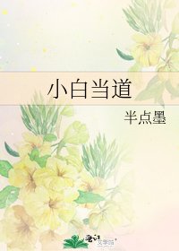 小白当道