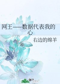 《網王——資料代表我的心》