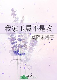 《我家玉晨不是攻》