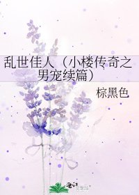 乱世佳人(小楼传奇之男宠续篇)