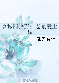 京城四少Ⅳ:老鼠爱上猫/京城四少4 老鼠爱上猫