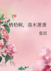 《凤栖梧桐,落木萧萧》