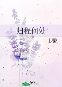 归程何处