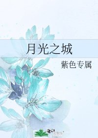 《月光之城》