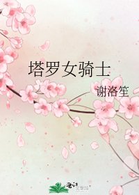 塔罗女骑士