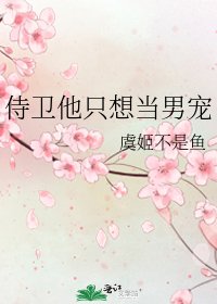侍卫他只想当男宠