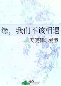 《緣,我們不該相遇》