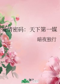 爱情密码:天下第一媒