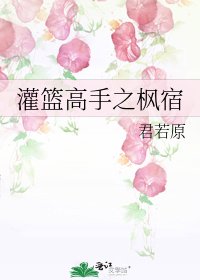 《灌籃高手之楓宿》
