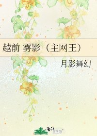 越前 雾影(主网王)