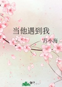 《当他遇到我》