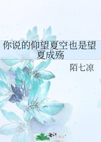 你说的仰望夏空也是望夏成殇