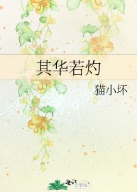 《其華若灼》