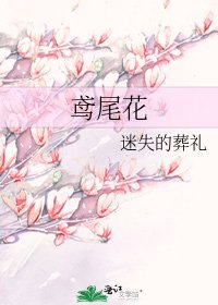 鸢尾花