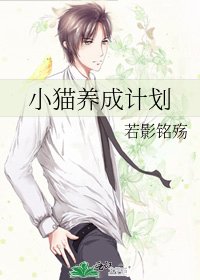 小猫养成计划