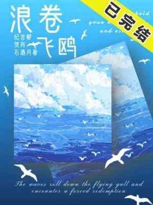 浪卷飞鸥