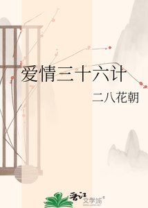 爱情三十六计