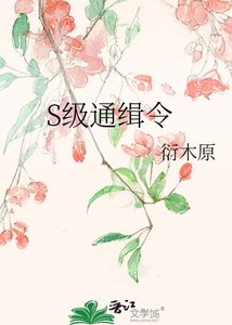 S级通缉令
